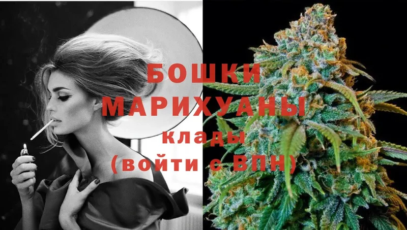 Бошки марихуана THC 21%  Новотроицк 